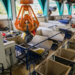 IKN Kini Punya Teknologi Pengolah Sampah Jadi Energi, Kota Lain Ketinggalan?