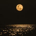 Peringatan dini banjir rob BMKG