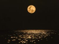 Peringatan dini banjir rob BMKG