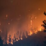 Kebakaran Hutan Chile 2026