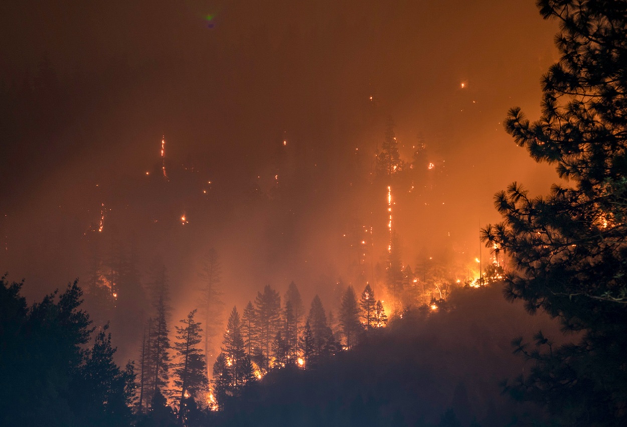 Kebakaran Hutan Chile 2026