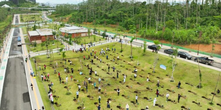 Mengawali Tahun 2026, Otorita IKN Ajak Masyarakat Menanam Pohon