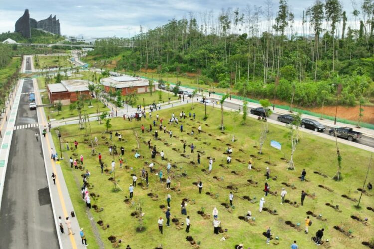 Mengawali Tahun 2026, Otorita IKN Ajak Masyarakat Menanam Pohon