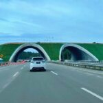Tol IKN Dilintasi 90 Ribu Kendaraan Selama Libur Nataru