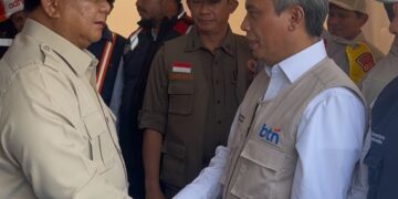 Sinergi BTN dan Danantara