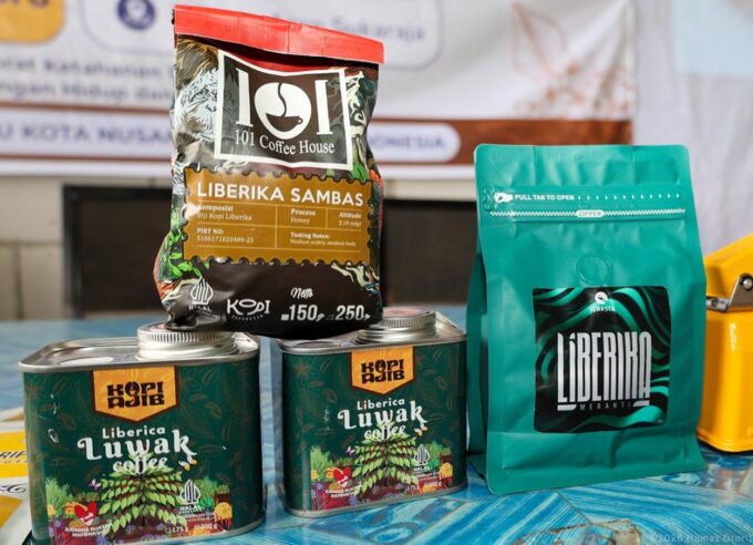 Kopi Liberika IKN Siap Mendunia