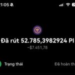 Komunitas Pi Network Vietnam