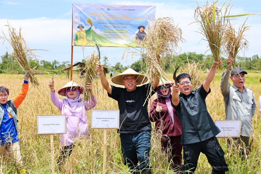 ogo Perdana IKN Panen Raya! Inovasi Pertanian Nusantara Ini Siap Dukung Program Prioritas Presiden Prabowo