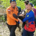 Tim SAR gabungan mengevakuasi jasad Jikram (65) - Istimewa