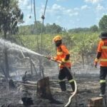 Strategi Pagar Betis Karhutla IKN