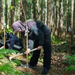 Otorita IKN tanam pohon pengunjung