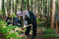 Otorita IKN tanam pohon pengunjung