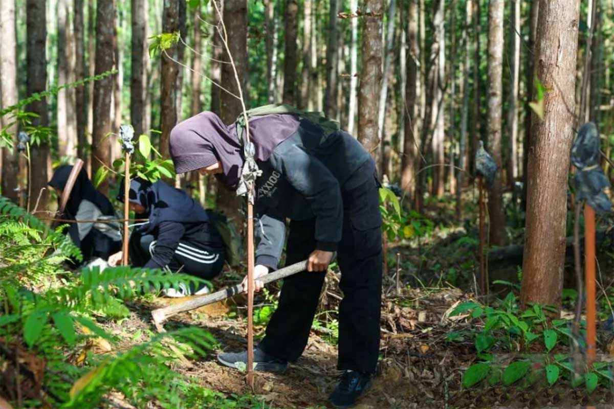 Otorita IKN tanam pohon pengunjung