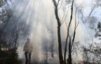 dua strategi pertahanan ganda guna meminimalisir ancaman Kebakaran Hutan dan Lahan (Karhutla)