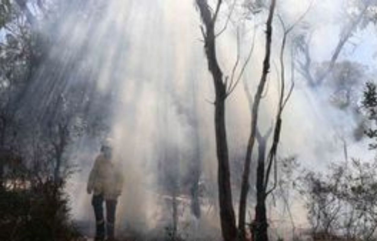 dua strategi pertahanan ganda guna meminimalisir ancaman Kebakaran Hutan dan Lahan (Karhutla)