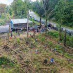 Otorita Ibu Kota Nusantara (OIKN) resmi mengumumkan langkah strategis untuk mereklamasi kawasan Taman Hutan Raya (Tahura) Bukit Soeharto .