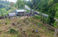 Otorita Ibu Kota Nusantara (OIKN) resmi mengumumkan langkah strategis untuk mereklamasi kawasan Taman Hutan Raya (Tahura) Bukit Soeharto .