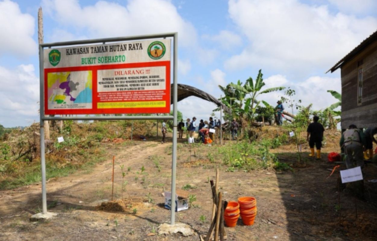 Otorita Ibu Kota Nusantara (OIKN) resmi mengumumkan langkah strategis untuk mereklamasi kawasan Taman Hutan Raya (Tahura) Bukit Soeharto.